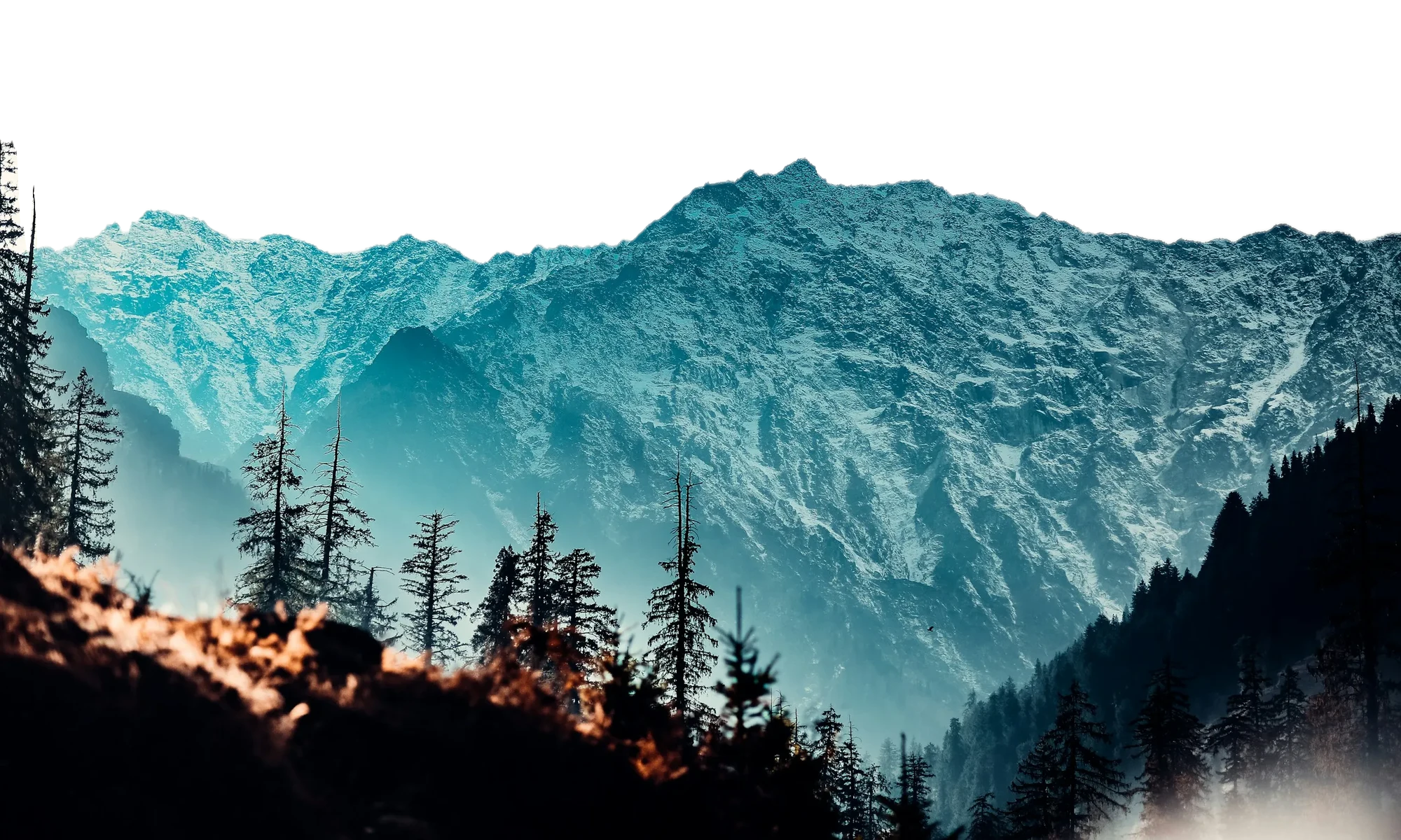 The Himalayan foothills of Himachal Pradesh, the family's home
