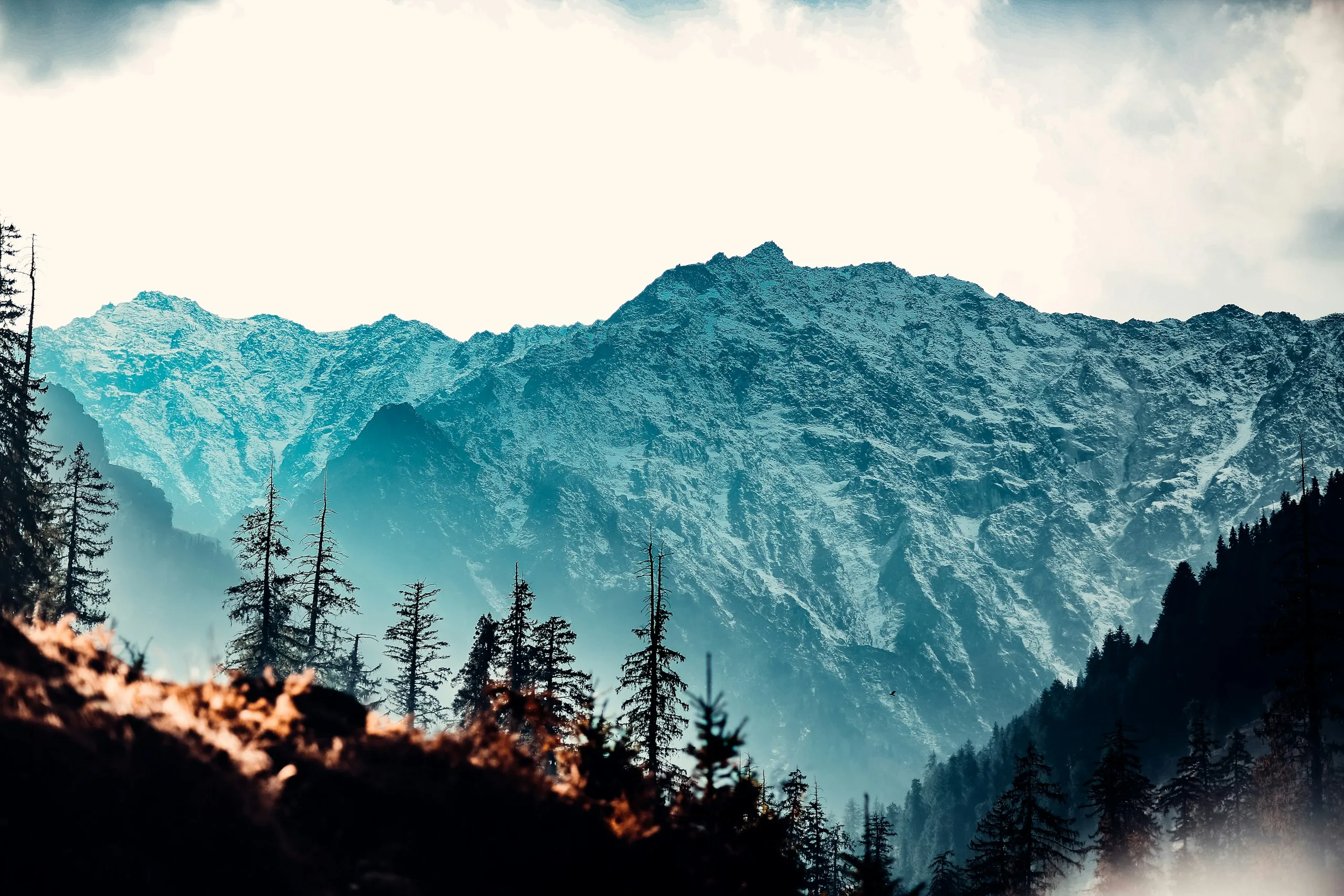 The Himalayan foothills of Himachal Pradesh, the family's home